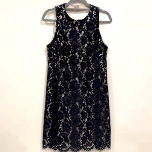 Vince Camuto Navy Lace Dress Size 10